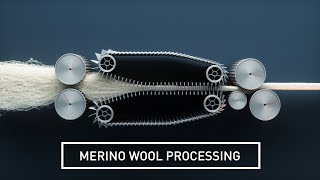 Wool Production and Processing [upl. by Renrag]