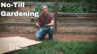 How to Make a NoTill Garden [upl. by Michaella449]