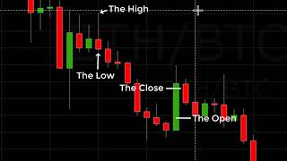 Reading A Crypto Candlestick Chart Basics [upl. by Enyamrahc]