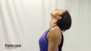 Cervical Spine Retraction amp Extension  McKenzie Exercise for Neck [upl. by Alin]