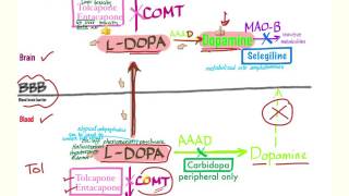 Parkinson’s Pharmacology  Neurology [upl. by Araec]