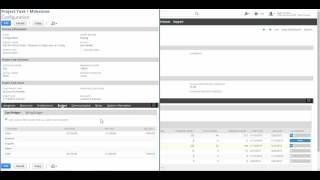 NetSuite Project Costing amp Budgeting Module Overview Demo [upl. by Rivard535]