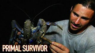 How To Lure In A Giant Coconut Crab  Primal Survivor [upl. by Enidlareg]