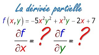 Calcul des dérivées partielles 1 [upl. by Litnahc474]