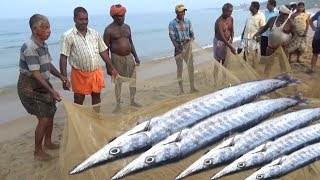 People Chanting amp Fishing  Amazing Fish Catching Process  Kovalam Beach Kerala India [upl. by Gayelord]