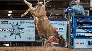 Future World Champion Bulls 🤔 Bucking Bulls Before They Get Ridden [upl. by Asum]