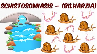 Schistosomiasis – Bilharzia [upl. by Notyrb]