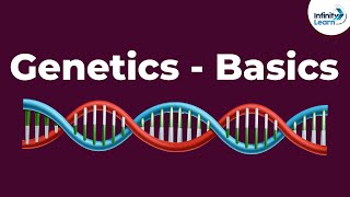 Genetics Basics  Introduction  Dont Memorise [upl. by Tsiuqram715]