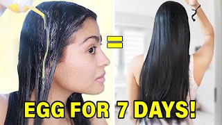 I Used 1 Egg On My Hair Every Day For 7 Days amp THIS HAPPENED this works [upl. by Arquit191]