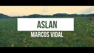 Marcos Vidal  Aslan Video Lyrics Oficial [upl. by Linette]