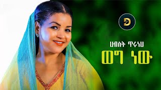 Ethiopia Amharic Music Hibisit Tiruneh ህብስት ጥሩነህ ዘፈን [upl. by Maiocco648]