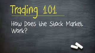 Trading 101 How Does the Stock Market Work [upl. by Enytsirk716]