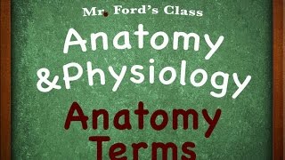 Introduction To Anatomy Physiology Anatomy Terms 0102 [upl. by Nerraf499]