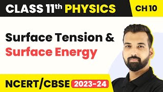 Class 11 Physics Chapter 10 Surface Tension amp Surface Energy  Mechanical Properties of Fluids [upl. by Devaj]