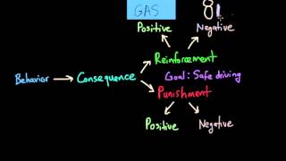 Operant Conditioning PositiveandNegative Reinforcement and Punishment [upl. by Naimerej]