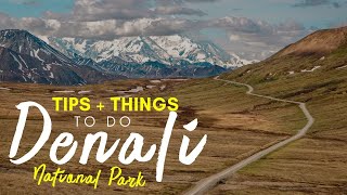 Denali National Park ALASKA  Tips for Visiting  Things To Do [upl. by Zetnod]