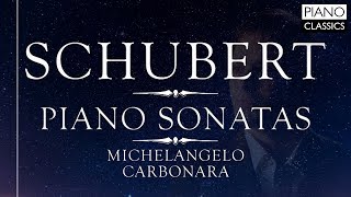 Schubert Piano Sonatas [upl. by Toblat310]