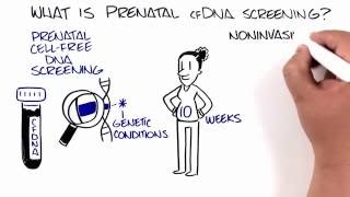 Gender Determination by Ultrasound  Imaging Study Lecture [upl. by Rockwell]