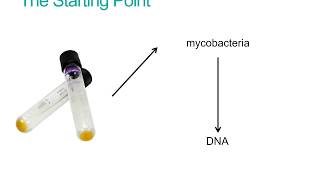 How does Whole Genome Sequencing identify mycobacteria [upl. by Ahsiemak]