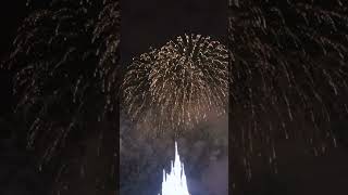 Magic Kingdom New Years Eve Fireworks  Walt Disney World [upl. by Giuditta]