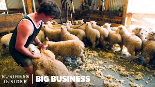 How NZ Farmers Shear 25000 Sheep In 10 Days  Big Business [upl. by Attoynek531]