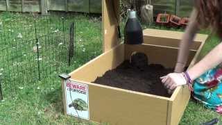 Setting Up A Mediterranean Tortoise Enclosure [upl. by Haron]