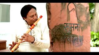 Vaishnav Jan To  Instrumental Folk  Gandhi  150 Years  Celebrations Doordarshan [upl. by Aram619]