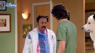 Dog With A Blog  Stan Goes To The Vet  Disney Channel UK HD [upl. by Jegger]