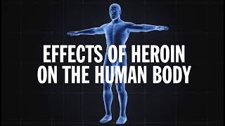 Science Behind Addiction Heroin [upl. by Aneele248]