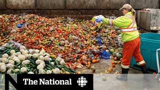 Canadians get creative in solving food waste problem [upl. by Nnyltiak]