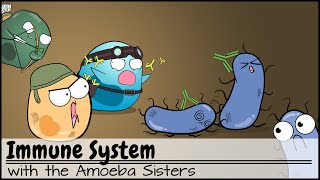 Immune System [upl. by Aivlis]