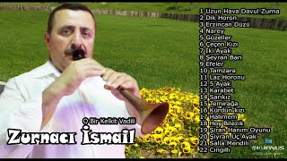 ZURNACI İSMAİL  ERZİNCAN DÜZÜ [upl. by Fonville]