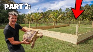 Building Backyard Tortoise Enclosure Part 2 [upl. by Enyamrahc886]