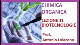 CHIMICA ORGANICA  Lezione 11  Le Biotecnologie [upl. by Kerk]