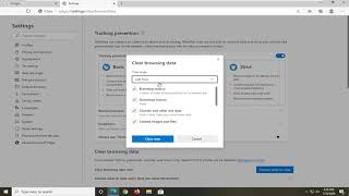 How to Clear the Cache and Cookies in Microsoft Edge Tutorial [upl. by Pauiie]