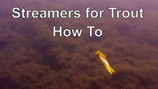 The Orvis Guide to Fly Fishing Streamers [upl. by Obellia83]