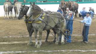 Heavyweight Team Full Pull 10000 lbs [upl. by Rubel]