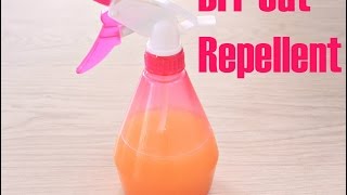 DIY CAT REPELLENT [upl. by Nnahgiel]