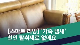 스마트 리빙 가죽 냄새 천연 탈취제로 없애요 20190516뉴스투데이MBC [upl. by Eahc]