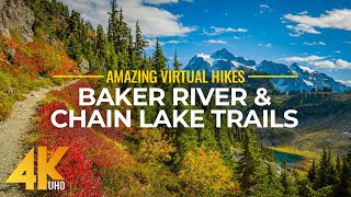 4K Virtual Hike Near River through the Forest  Baker River Trail amp Chain Lake Trail [upl. by Allertse]