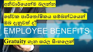 සේවක පාරිතෝෂිතය ගැන ඔබ දන්නවාද  Gratuity  Employee Retirement Benefits  Sinhala [upl. by Armil958]