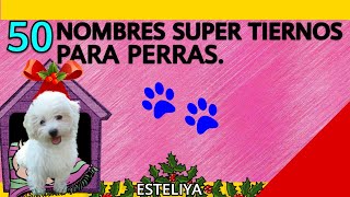 NOMBRES SUPER TIERNOS PARA PERRAS [upl. by Yenreit]