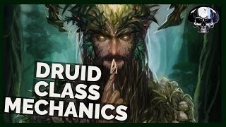 Pathfinder WotR Beta  Druid Class amp Archetypes Mechanics amp Overview [upl. by Iong]