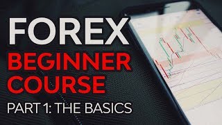 Forex Beginner Course Part 1  Forex Foundation [upl. by Yelhsa784]