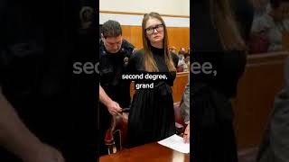 How much did Anna Delvey steal  part III [upl. by Olli]