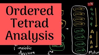 Tetrad AnalysisPart IOrdered Tetrad Analysis [upl. by Esmeralda369]