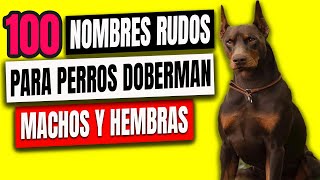 100 INCREIBLES Nombres RUDOS Para Perros Doberman  Machos y Hembras 💪 [upl. by Alroi87]