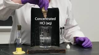 Common Ion Effect  NaCl and HCl [upl. by Vivl]