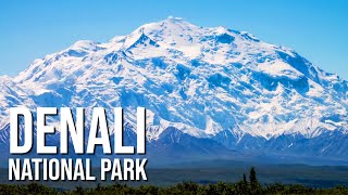 Denali National Park [upl. by Redmund]