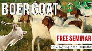 Seminar for Goat Farming  Goat Farming in Philippines  Boer goat farming Philippines Happy Farmer [upl. by Nevai]